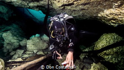Peacock Cave System in Northern Florida by Don C 